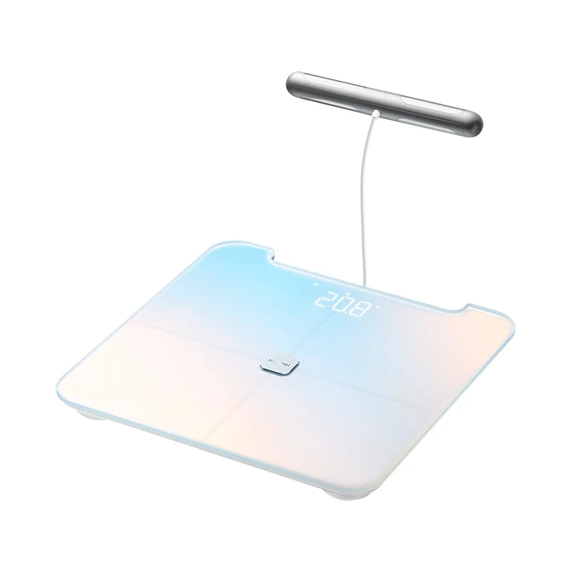 Intelligent Body Scale